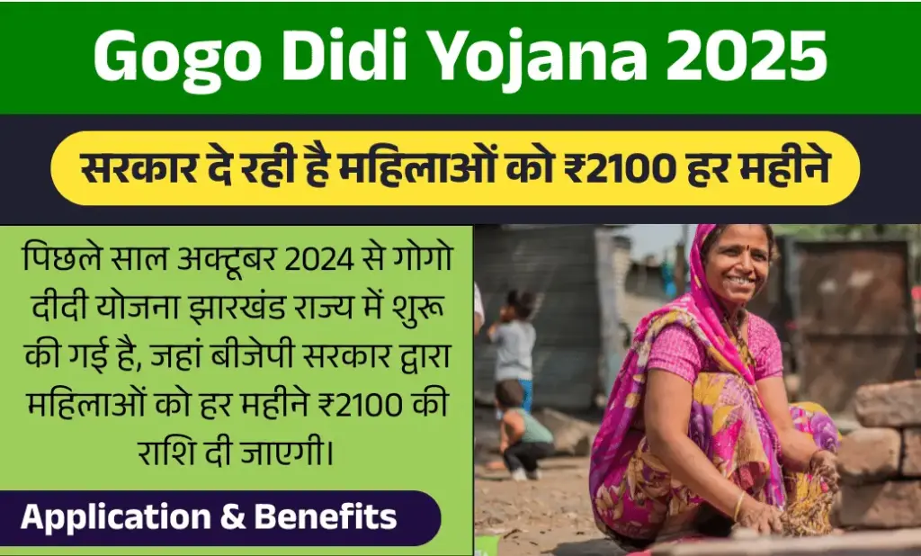 Gogo Didi Yojana 2025