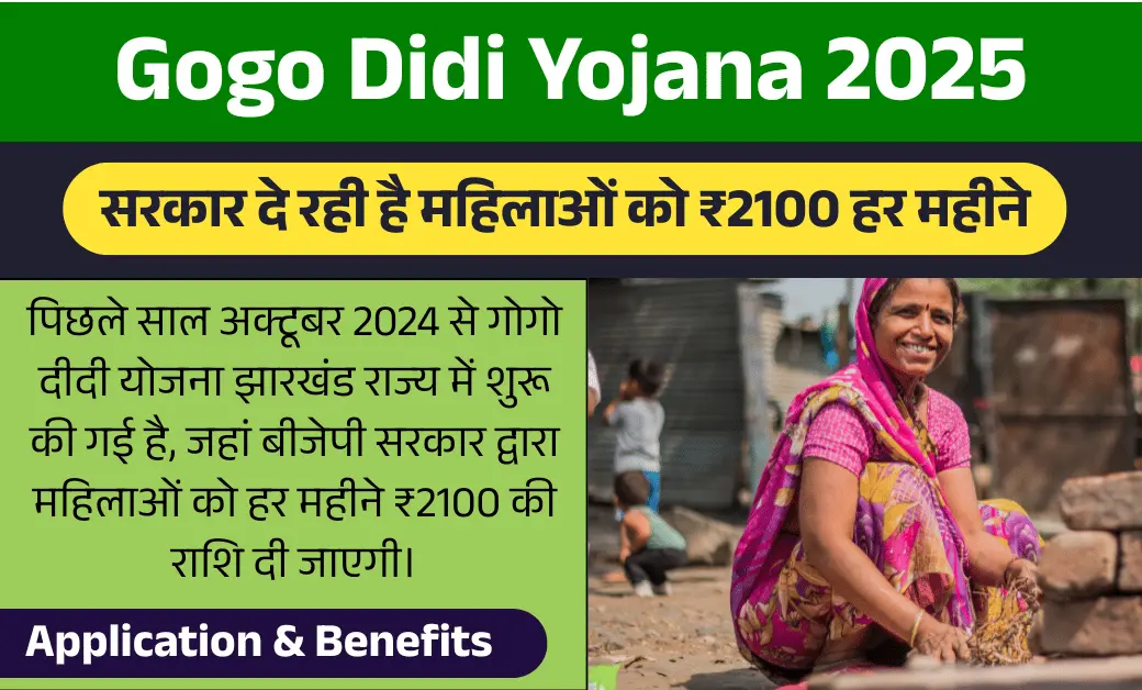 Gogo Didi Yojana 2025